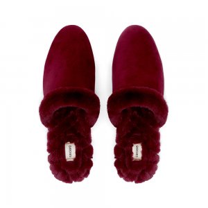 The Songbird | Red Suede Fur-Lined Women's Slide