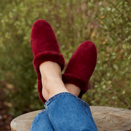 The Songbird | Red Suede Fur-Lined Women\'s Slide